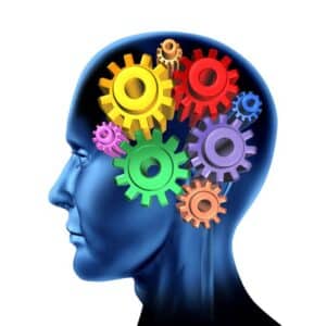 This is Your Brain on Vitamin B12